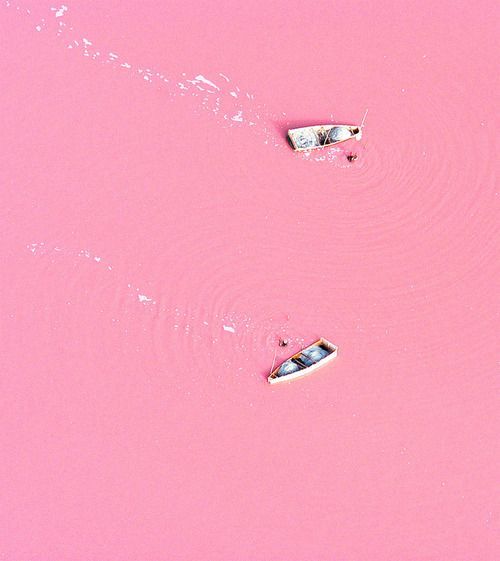 congenitaldisease:  Lake Retba or Lac Rose (which means pink lake) lies north of