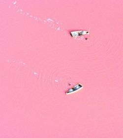 congenitaldisease:  Lake Retba or Lac Rose (which means pink lake) lies north of the Cap Vert peninsula of Sengal. It’s known and named for the pink water which is caused by algae. It’s also known for it’s high salt concentration which is harvested