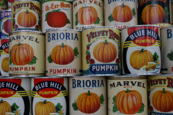 glorious-autumn:  Pumpkin by wizzybit on Flickr. 