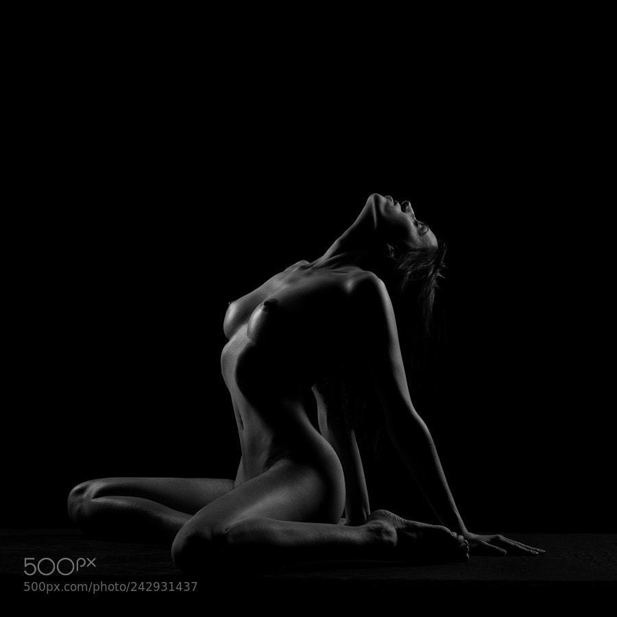 crazyfelo:  Stretch by PhilippeDemeuseStudio12