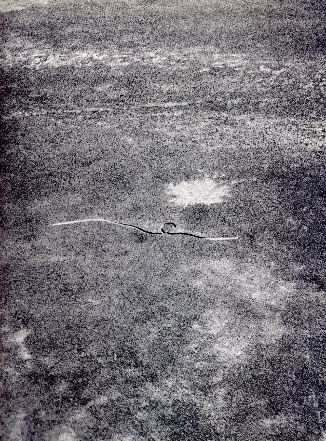 Michael Heizer, Isolated Mass/Circumflex, 1968—aerial view