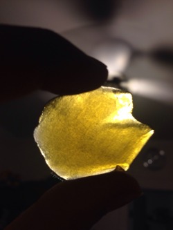 tripp-sixx:  Gods Gift - Loud Pack Extracts