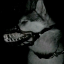 crypticmutts