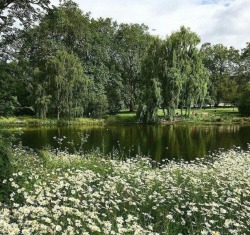 cottageaesthetic: