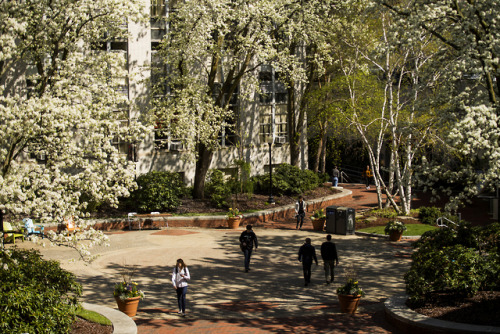 A look back at some of my favorite images shot for Northeastern during the month of April.