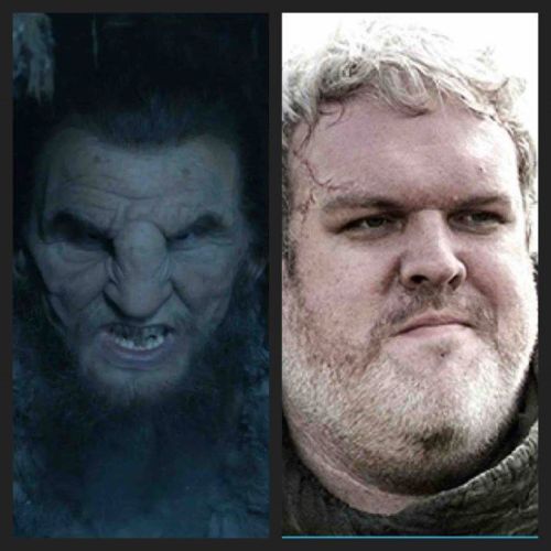 gameofthronefreak:To the giants who gave their lives this season. One held the door and the other br