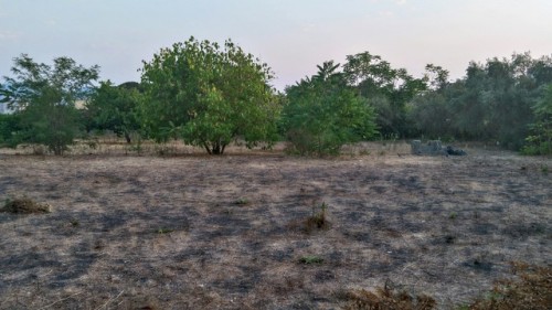 Volcanic Land (foto Mie)