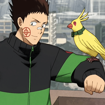 Heisuke Stimboard !!! 