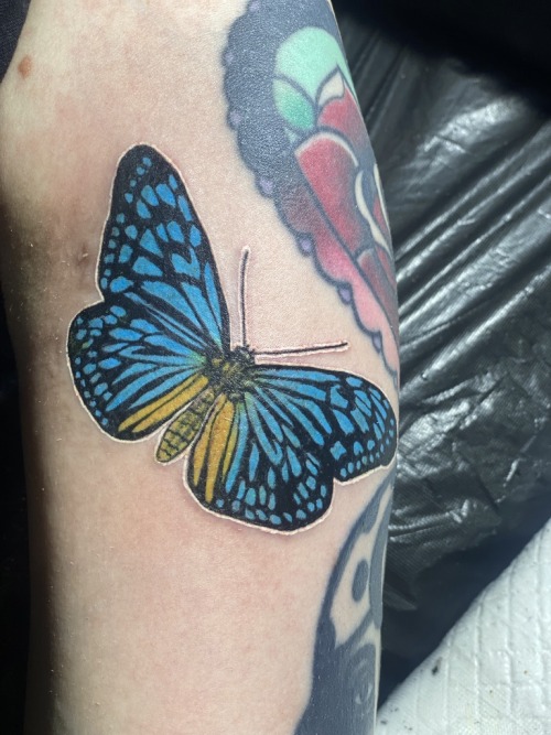 Alright. Well. I haven’t been on this blog since the last time I was tattooed, which was 