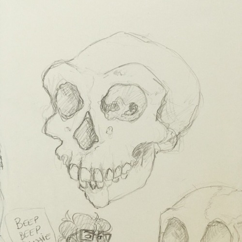 dogsofcorn: some doodles from my anthro class i had i tuesday legit my prof just had all these skull