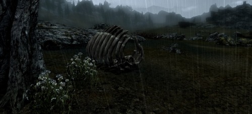 Rainy days in Whiterun