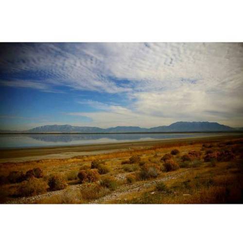 #antelopeisland in #greatsaltlake  #landscape #reflection #lake #minimalism #zen