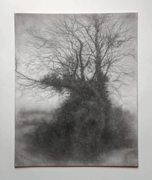 Home thoughts today.. &lsquo;Rural Road 8&rsquo;, charcoal, carbon and graphite on museum board, 20 