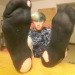 gayfeet628:I&rsquo;ve stunk up these socks for the past three days. I took off