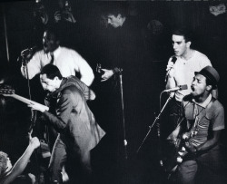 onlytheyoungdieyoung:  The Specials 