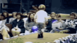 Gifsboom:  Walking The Runway. [Video]