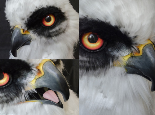 A commissioned Aarakocra, based on a white tailed kite! Resin base with moving jaw, and a combinatio