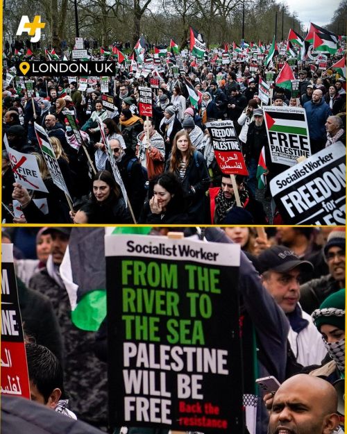 Don't Feel Helpless. You're Not Speaking Up For Palestine Alone. The World, Humanity, Is With You.
