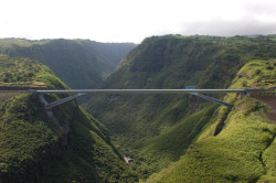 blazepress:  The Grande Ravine Bridge. The most minimalistic bridge ever.