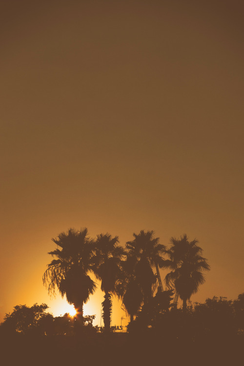 tryintoxpress:   Barcelona - William Self -  • ♤♡♢♧ •    