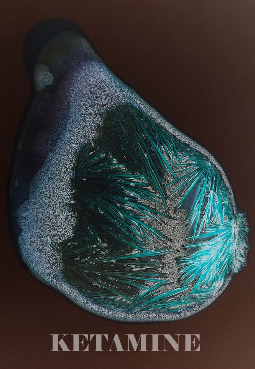 maeuseanarchie:  dyslimbia:  we-should-fuck-now-that-i:  ifimeanalottoyou:  Drugs Under The Microscope  !  Valium looks quite pretty xD crystaĺ’s SCARY  crystal meth looks so damn pretty 