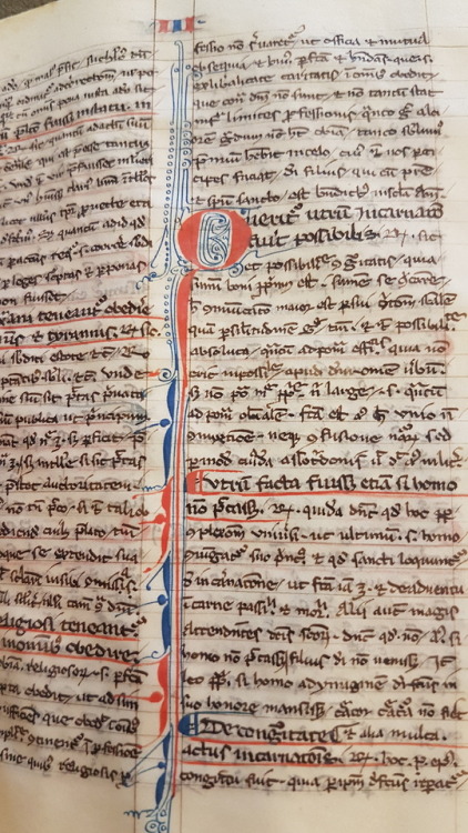 Ms. Codex 686 -[Abbreviation of Peter of Tarentaise&rsquo;s commentary on Peter Lombard&rsquo;s Sent