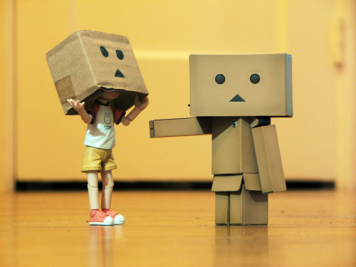 Danboard