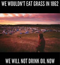 izanzanwin:  For those unaware, this is in reference to the events that led up to the Dakota War aka The Dakota Conflict in 1862, where ‘Andrew Myrick, an Anglo trader, said “Let them eat grass, or their own dung” when the Dakota complained of late
