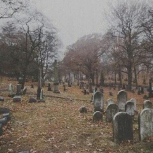 cerebral-halloween - AUTUMNAL EXPERIENCE