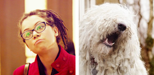 theangryguardianangel:  Orphan Puppy  Orphan Black characters and their dog counterparts.