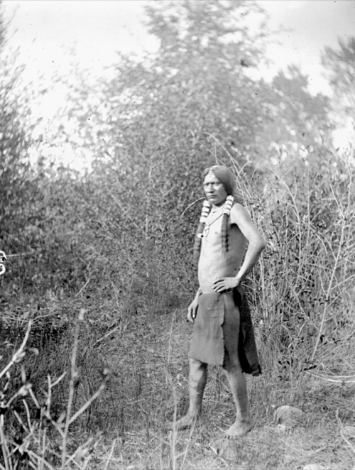 thebigkelu:“The Messenger” or “The Runner”, Ute, in Native Dress - Hillers - 1873