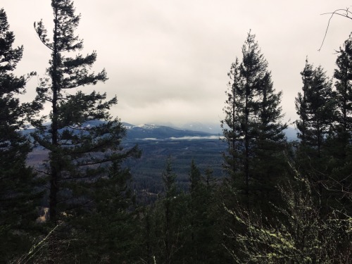 cascadiangentleman:Daily Grind 127: looking for silver linings