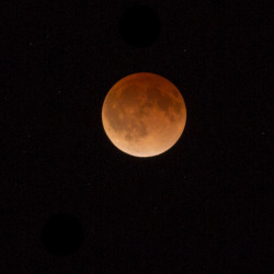 lucidexposure:  4 14 14 Lunar Eclipse…. Moon turns red from when the Earth is blocking the sun’s path from the moon, causing the moon to turn orange from the sunset. 