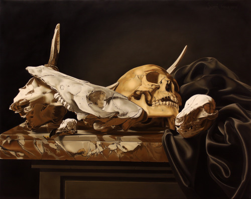 victoriousvocabulary:SCHEDEL[noun]1. a skull.2. a death’s head; a human skull, as symbol of death. E