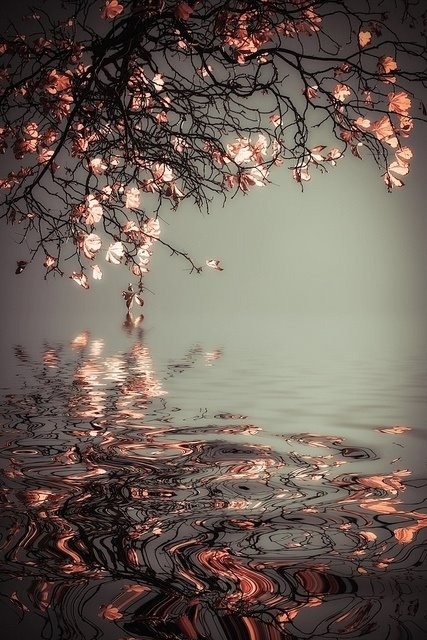 Particular Poetry