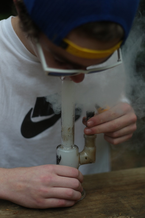 smoke-pot-everyday:  Never pay for cannabis again - Click here