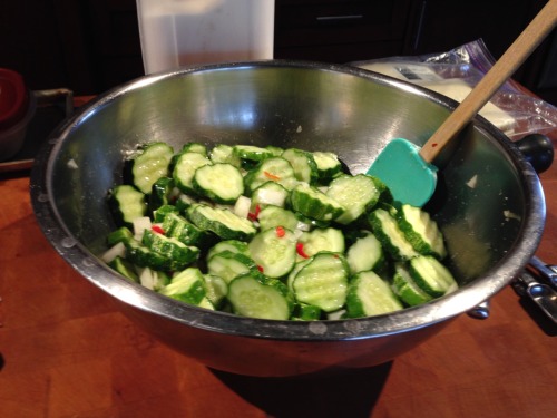 We are fighting lots of insects and mildew this fall, but we managed to pick our first cucumbers fro