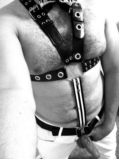 http://mrnopantsnoway.tumblr.com/post/55846187926