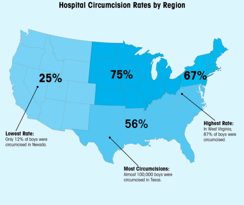 cutesoutherngay: pro-circoncision: Les États Unis ont un taux d'hommes circoncis très 