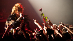 Adsminamorta:  Such A Moment Caught