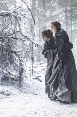 Princess in the North - Sansa Stark