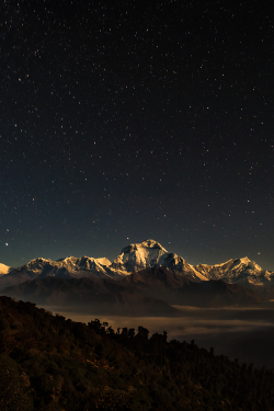 asthmas:  Himalaya Nightscape 
