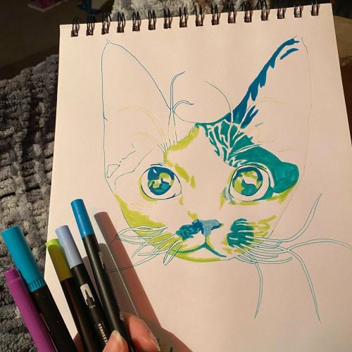 #drawing of #devonrex #cat in my #sketchbook @yzmarex . . . #wip #workinprogress #rex #rexcats #devo