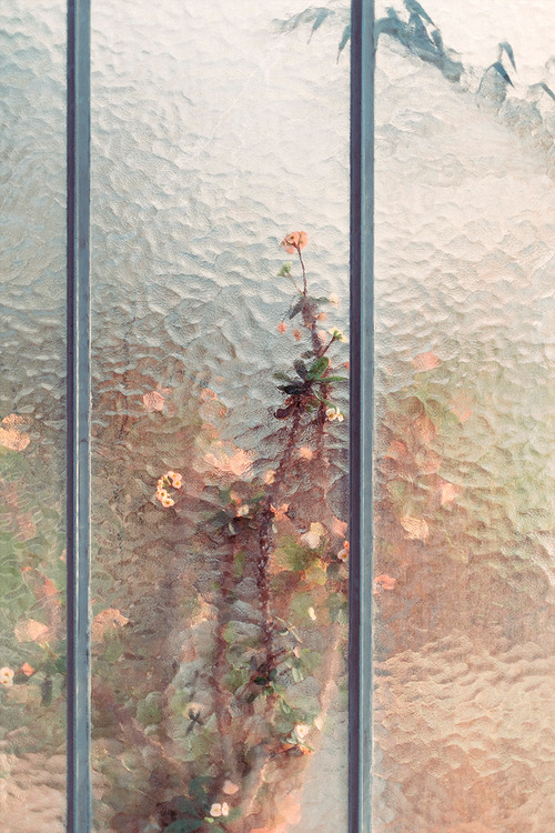 aubreylstallard:  Samuel Zeller 