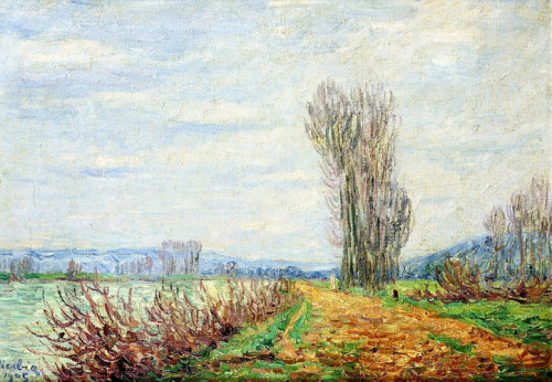 Morning Effect, Banks of the Yonne River, 1905, Francis PicabiaMedium: oil,canvas