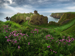 bonitavista:  Dunnotar Castle, Scotland  photo via sae  