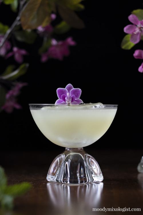 Fairy Godmother !Ingredients:1 oz absinthe&frac34; oz elderflower liqueur&frac34; oz pineapple juice