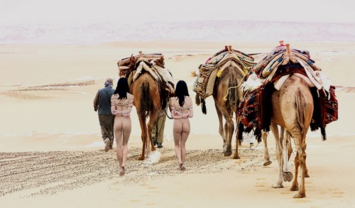thegorean:  “I am of the Warriors,’ I said. `I will take by the sword what women please me.” Beasts of Gor 