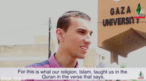 braidsnglassesblog:spend-arab:momo33me:#Ask_Gaza | Episode 4: Do You Hate Jews?~THINGS THEY WON’T SH