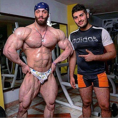 @hosein.rejaee